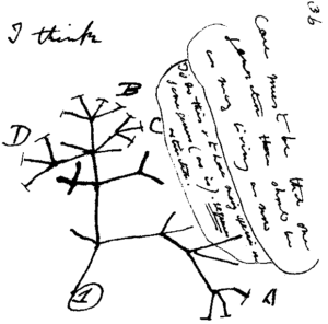 Anotaciones de Darwin